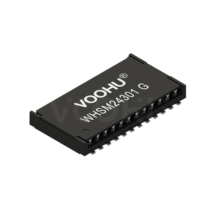 WHSM24301G Single Port SMD(Low height) 10G PIN24 non-PoE Lan Transformer