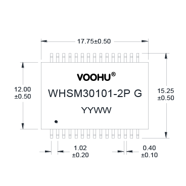 WHSM30101-2PG Single Port SMD 10G PIN30 4PPoE Lan Transformer